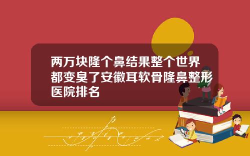 两万块隆个鼻结果整个世界都变臭了安徽耳软骨隆鼻整形医院排名