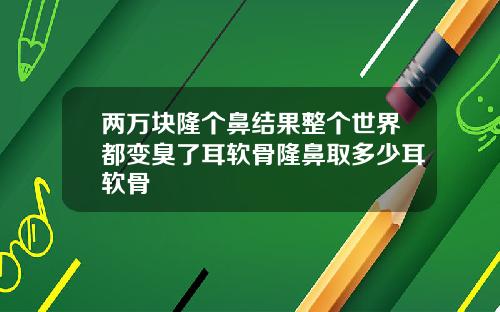 两万块隆个鼻结果整个世界都变臭了耳软骨隆鼻取多少耳软骨