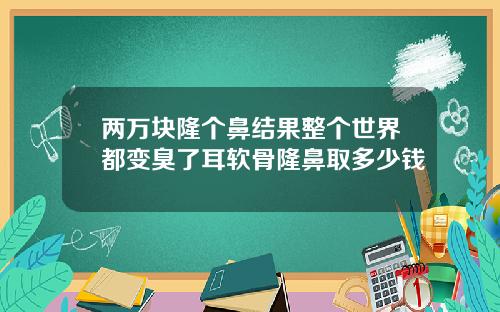 两万块隆个鼻结果整个世界都变臭了耳软骨隆鼻取多少钱