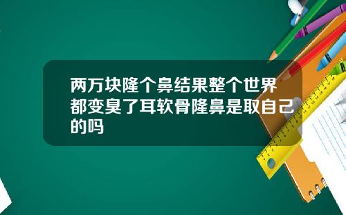 两万块隆个鼻结果整个世界都变臭了耳软骨隆鼻是取自己的吗