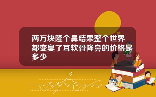两万块隆个鼻结果整个世界都变臭了耳软骨隆鼻的价格是多少