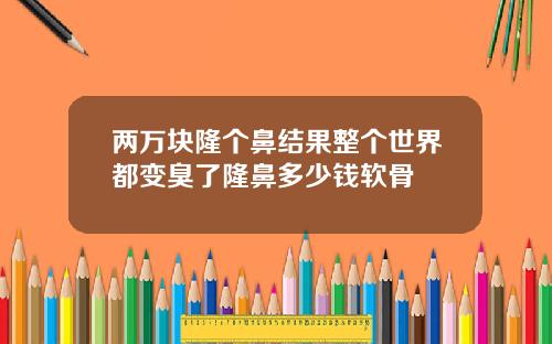 两万块隆个鼻结果整个世界都变臭了隆鼻多少钱软骨