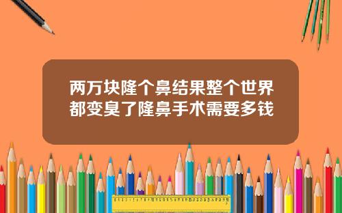 两万块隆个鼻结果整个世界都变臭了隆鼻手术需要多钱