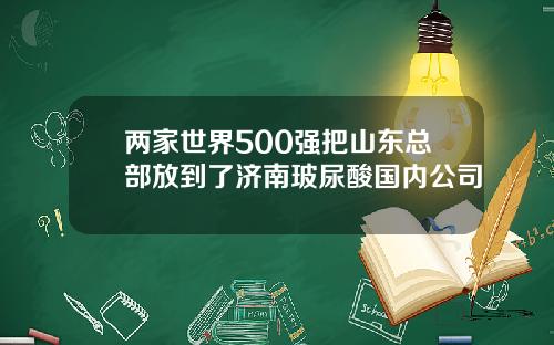两家世界500强把山东总部放到了济南玻尿酸国内公司
