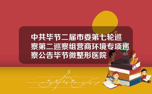 中共毕节二届市委第七轮巡察第二巡察组营商环境专项巡察公告毕节微整形医院