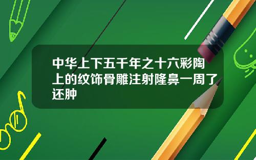 中华上下五千年之十六彩陶上的纹饰骨雕注射隆鼻一周了还肿