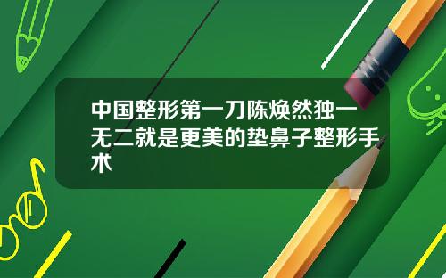 中国整形第一刀陈焕然独一无二就是更美的垫鼻子整形手术