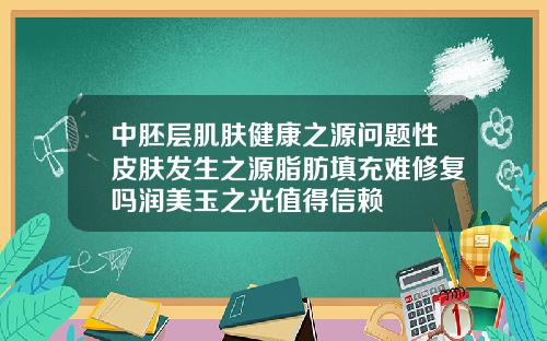 中胚层肌肤健康之源问题性皮肤发生之源脂肪填充难修复吗润美玉之光值得信赖