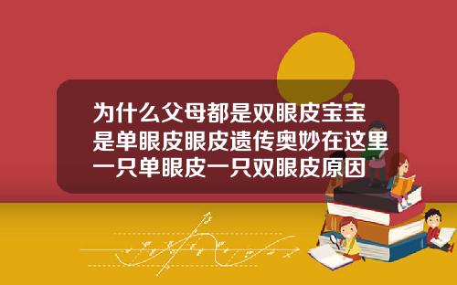 为什么父母都是双眼皮宝宝是单眼皮眼皮遗传奥妙在这里一只单眼皮一只双眼皮原因