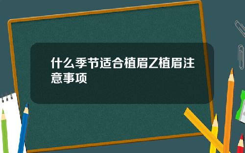什么季节适合植眉Z植眉注意事项
