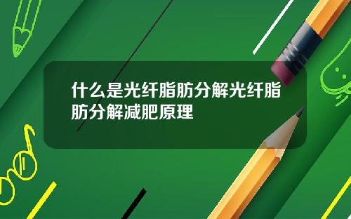 什么是光纤脂肪分解光纤脂肪分解减肥原理