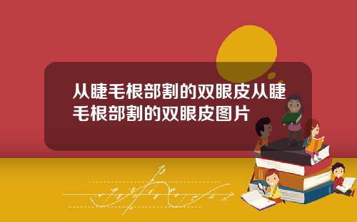 从睫毛根部割的双眼皮从睫毛根部割的双眼皮图片