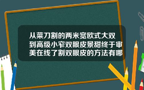 从菜刀割的两米宽欧式大双到高级小窄双眼皮景甜终于审美在线了割双眼皮的方法有哪几种图片视频