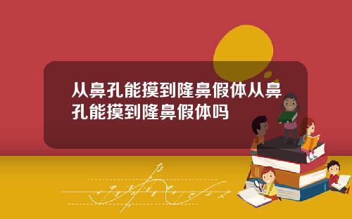 从鼻孔能摸到隆鼻假体从鼻孔能摸到隆鼻假体吗