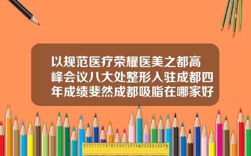 以规范医疗荣耀医美之都高峰会议八大处整形入驻成都四年成绩斐然成都吸脂在哪家好