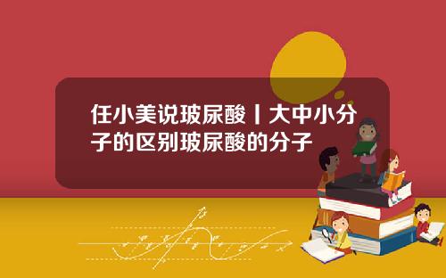 任小美说玻尿酸丨大中小分子的区别玻尿酸的分子