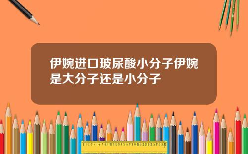 伊婉进口玻尿酸小分子伊婉是大分子还是小分子