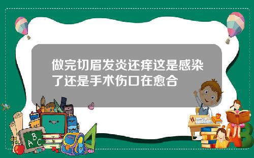 做完切眉发炎还痒这是感染了还是手术伤口在愈合