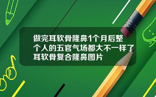 做完耳软骨隆鼻1个月后整个人的五官气场都大不一样了耳软骨复合隆鼻图片