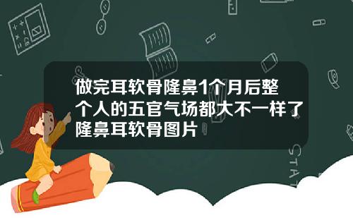 做完耳软骨隆鼻1个月后整个人的五官气场都大不一样了隆鼻耳软骨图片