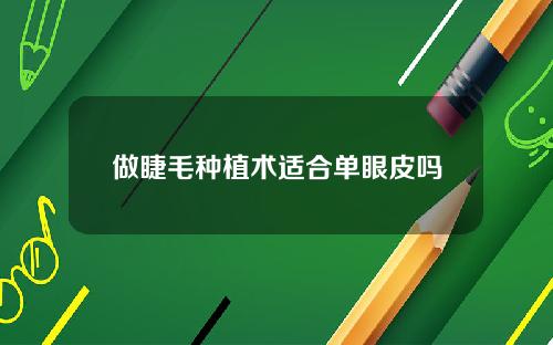 做睫毛种植术适合单眼皮吗