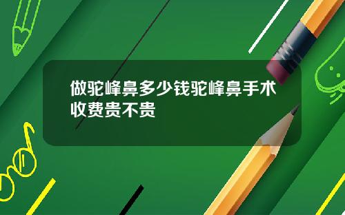 做驼峰鼻多少钱驼峰鼻手术收费贵不贵