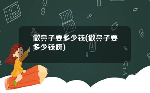 做鼻子要多少钱(做鼻子要多少钱呀)