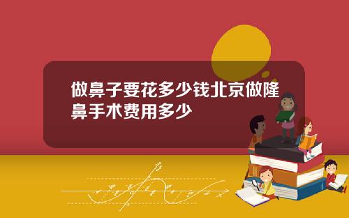 做鼻子要花多少钱北京做隆鼻手术费用多少