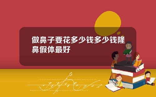 做鼻子要花多少钱多少钱隆鼻假体最好