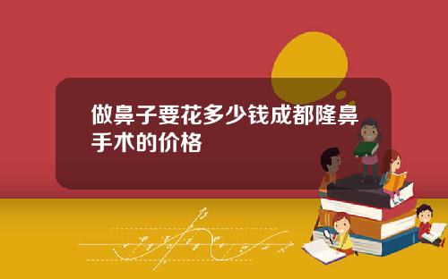 做鼻子要花多少钱成都隆鼻手术的价格