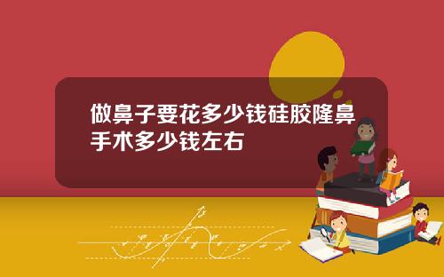 做鼻子要花多少钱硅胶隆鼻手术多少钱左右