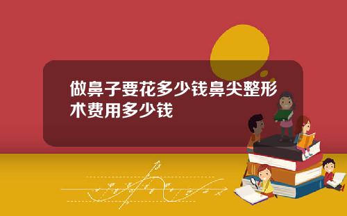 做鼻子要花多少钱鼻尖整形术费用多少钱