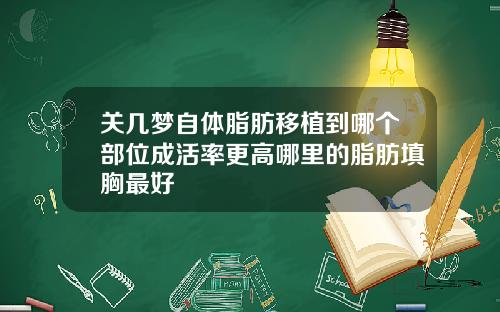 关几梦自体脂肪移植到哪个部位成活率更高哪里的脂肪填胸最好