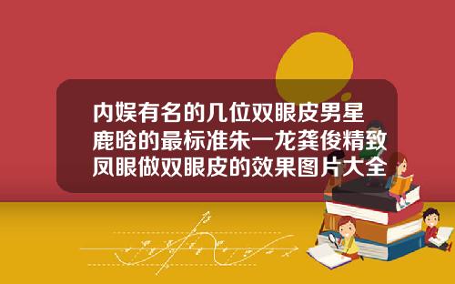内娱有名的几位双眼皮男星鹿晗的最标准朱一龙龚俊精致凤眼做双眼皮的效果图片大全图解