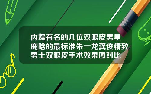 内娱有名的几位双眼皮男星鹿晗的最标准朱一龙龚俊精致男士双眼皮手术效果图对比