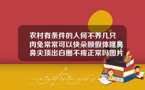 农村有条件的人何不养几只肉兔常常可以快朵颐假体隆鼻鼻尖顶出白圈不疼正常吗图片