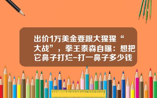 出价1万美金要跟大猩猩“大战”，拳王泰森自曝：想把它鼻子打烂-打一鼻子多少钱