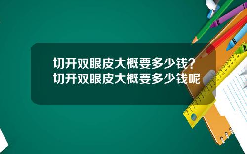 切开双眼皮大概要多少钱？切开双眼皮大概要多少钱呢