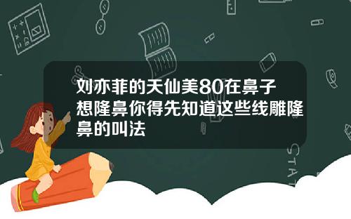 刘亦菲的天仙美80在鼻子想隆鼻你得先知道这些线雕隆鼻的叫法