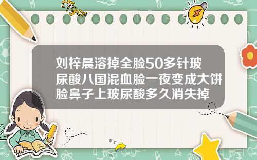 刘梓晨溶掉全脸50多针玻尿酸八国混血脸一夜变成大饼脸鼻子上玻尿酸多久消失掉