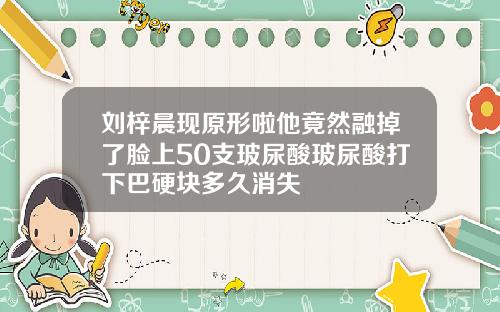 刘梓晨现原形啦他竟然融掉了脸上50支玻尿酸玻尿酸打下巴硬块多久消失