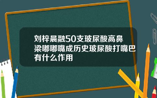 刘梓晨融50支玻尿酸高鼻梁嘟嘟嘴成历史玻尿酸打嘴巴有什么作用