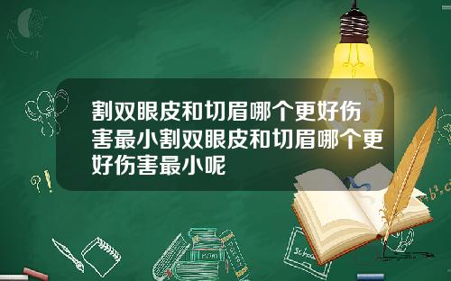 割双眼皮和切眉哪个更好伤害最小割双眼皮和切眉哪个更好伤害最小呢