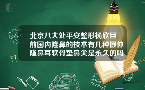 北京八大处平安整形杨欣目前国内隆鼻的技术有几种假体隆鼻耳软骨垫鼻尖是永久的吗
