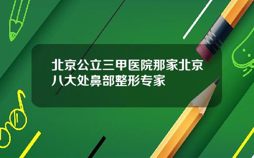 北京公立三甲医院那家北京八大处鼻部整形专家