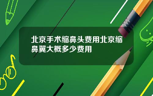 北京手术缩鼻头费用北京缩鼻翼大概多少费用