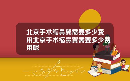 北京手术缩鼻翼需要多少费用北京手术缩鼻翼需要多少费用呢