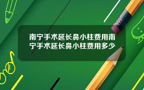 南宁手术延长鼻小柱费用南宁手术延长鼻小柱费用多少