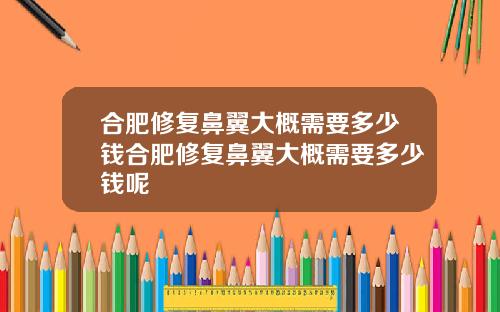 合肥修复鼻翼大概需要多少钱合肥修复鼻翼大概需要多少钱呢