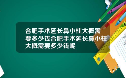 合肥手术延长鼻小柱大概需要多少钱合肥手术延长鼻小柱大概需要多少钱呢